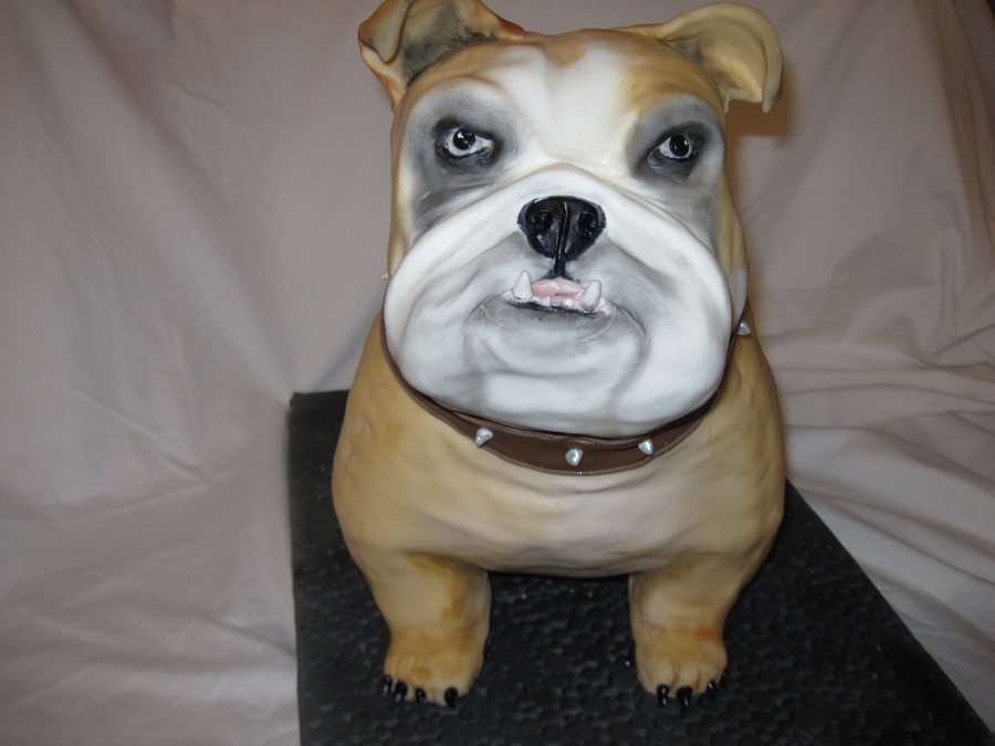 Bulldog Cake - CakeCentral.com