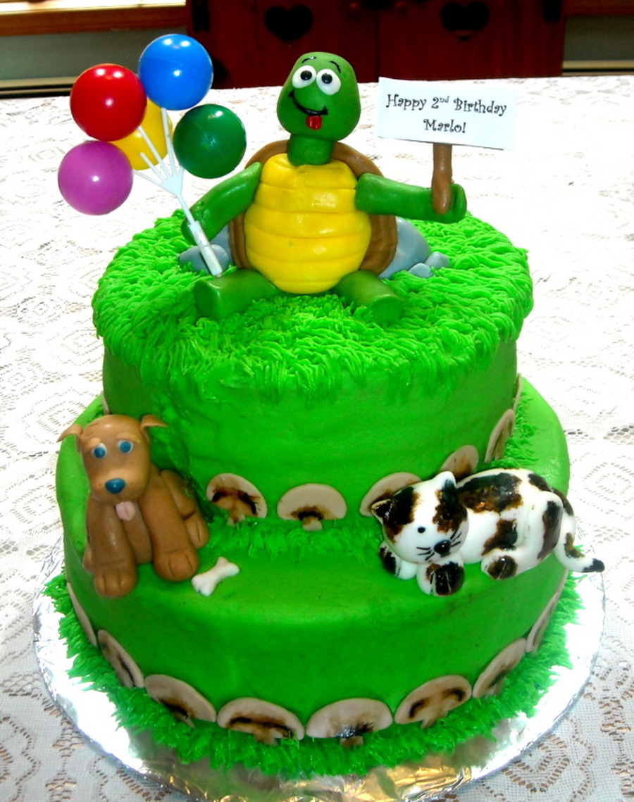 turtle cake cakecentral com
