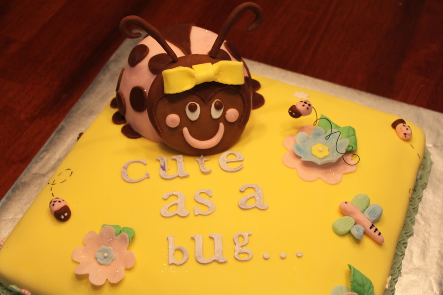 Pink Ladybug Baby Shower