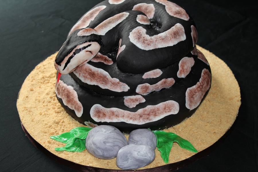 Python Birthday Cake - CakeCentral.com