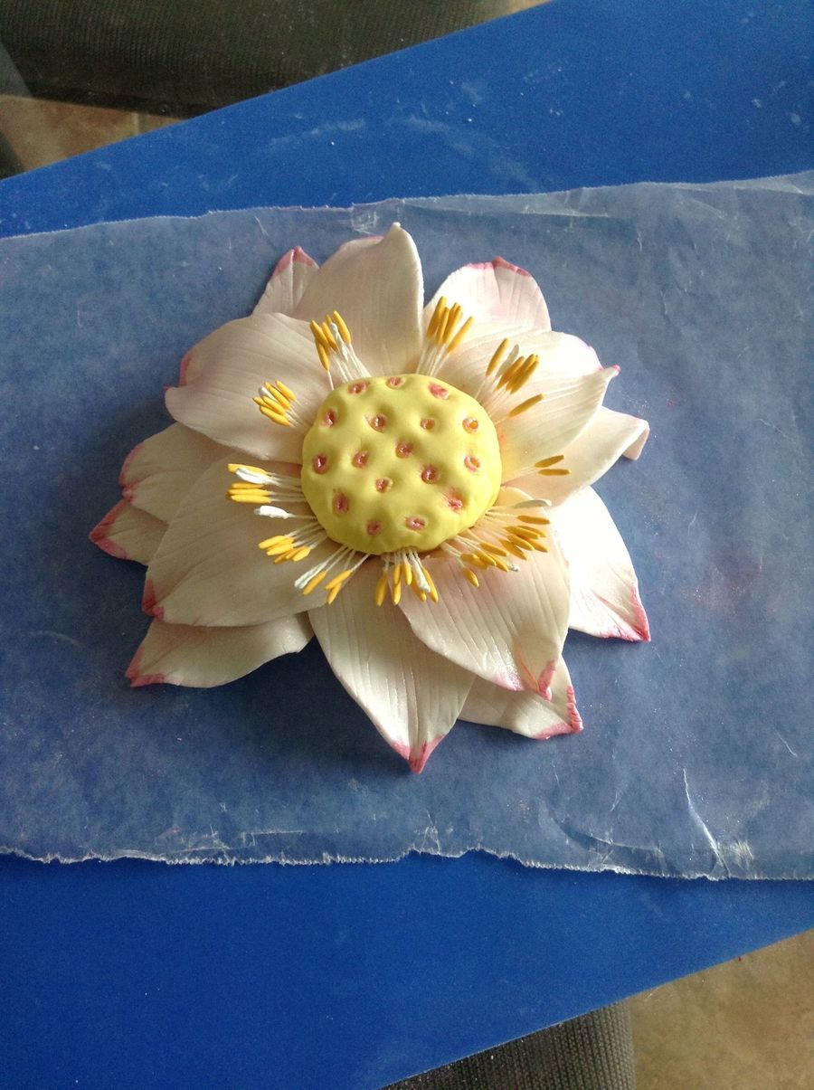 Lotus Flower Cake
