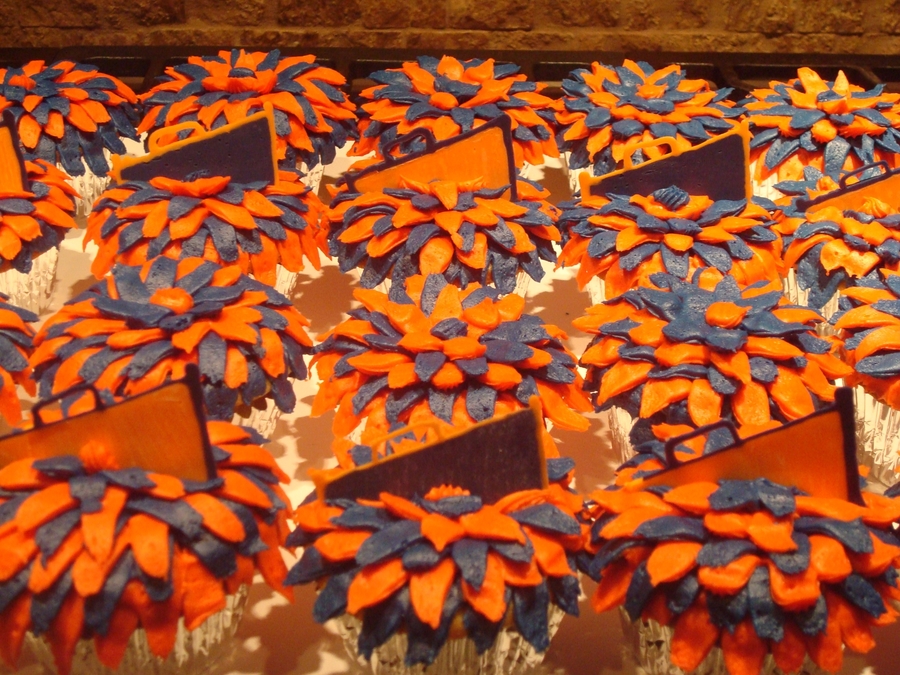 Pom Pom Cheerleader Cupcakes Cake Pom Pom Cheerleader Cupcakes Cake
