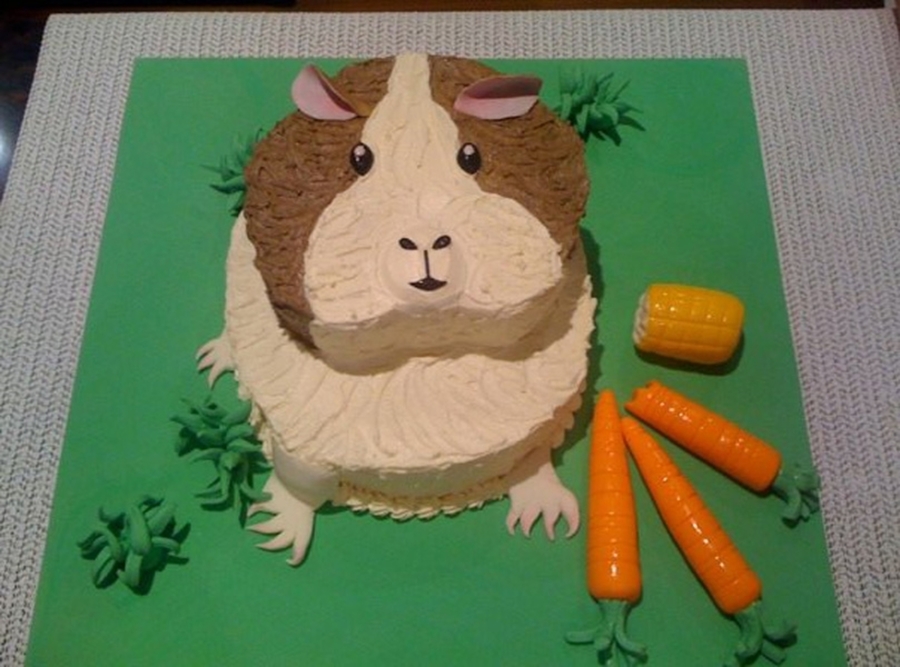 Guinea Pig Cake - CakeCentral.com - How To Make A Cake For Guinea Pigs
