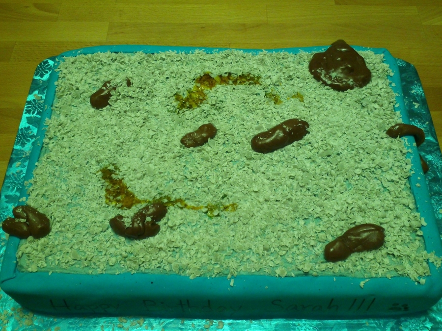Litter Box Birthday Cake
