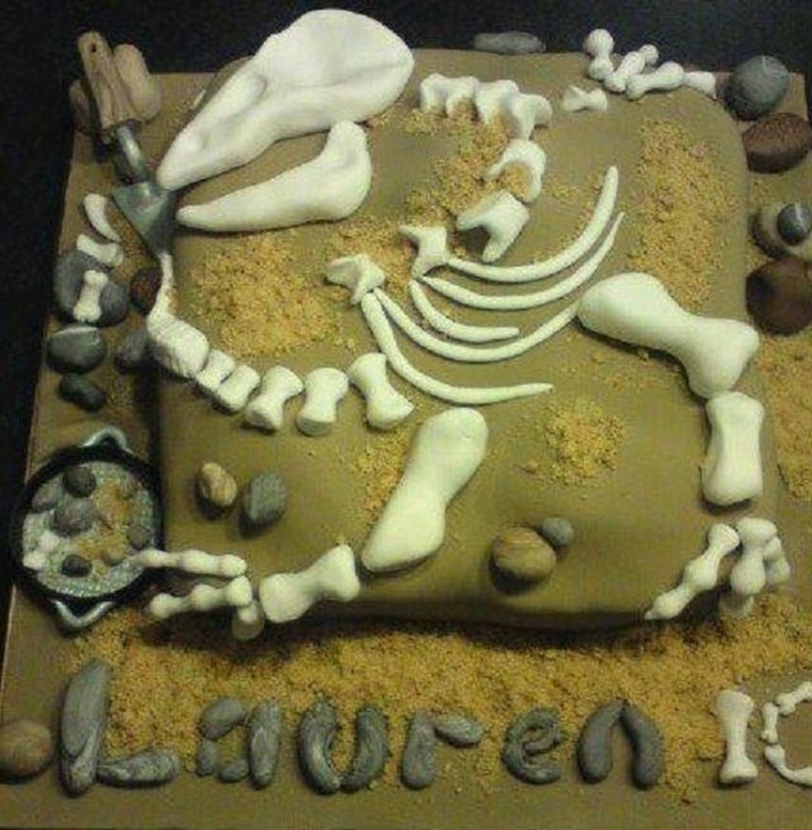 Dinosaur Fossil Vanilla Cake