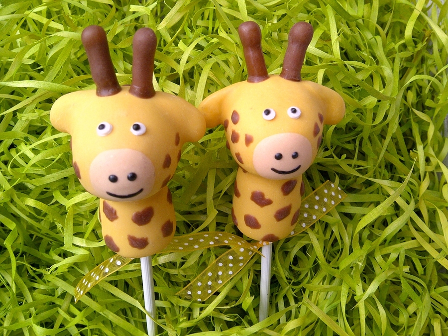 Zebra Cake Pops Recipe Zebra Cake Pops Recipe