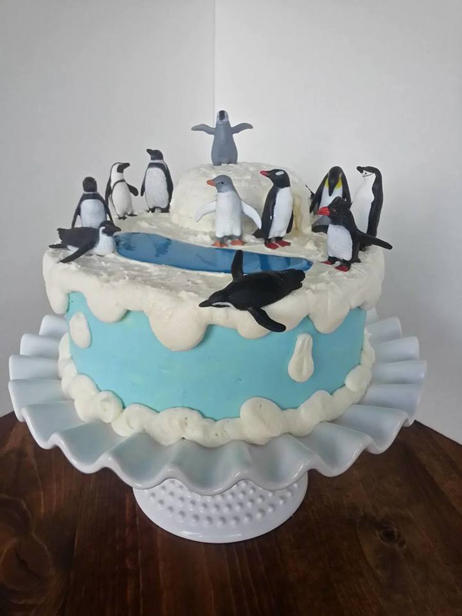 This Was Actually For A Book Club Reading Mr Poppers Penguins The