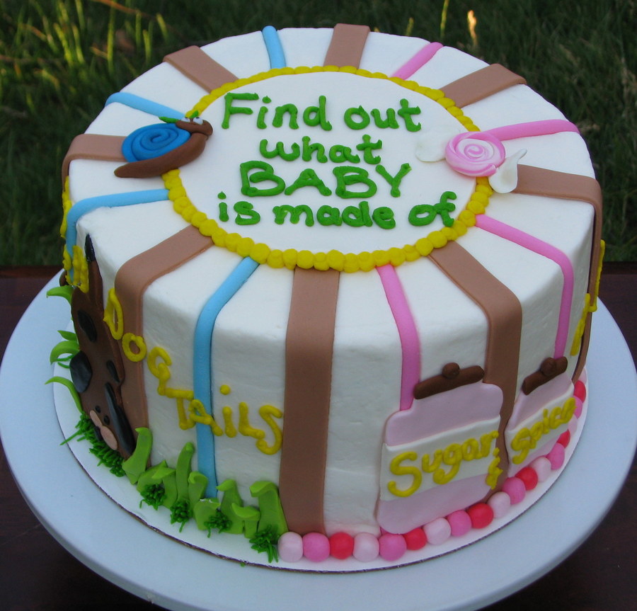 Snips And Snails Gender Reveal Cake