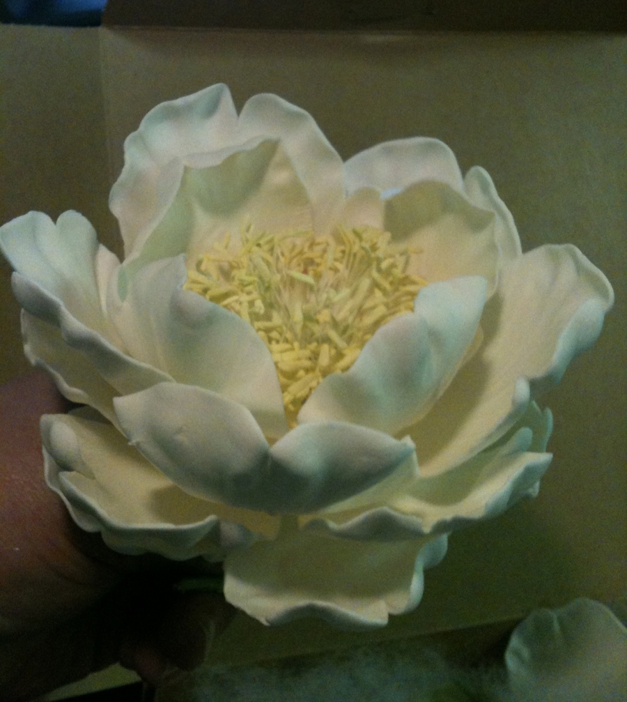 Gumpaste Open Peony