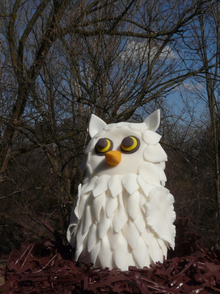Gum Paste Owl With Chocolate Nest