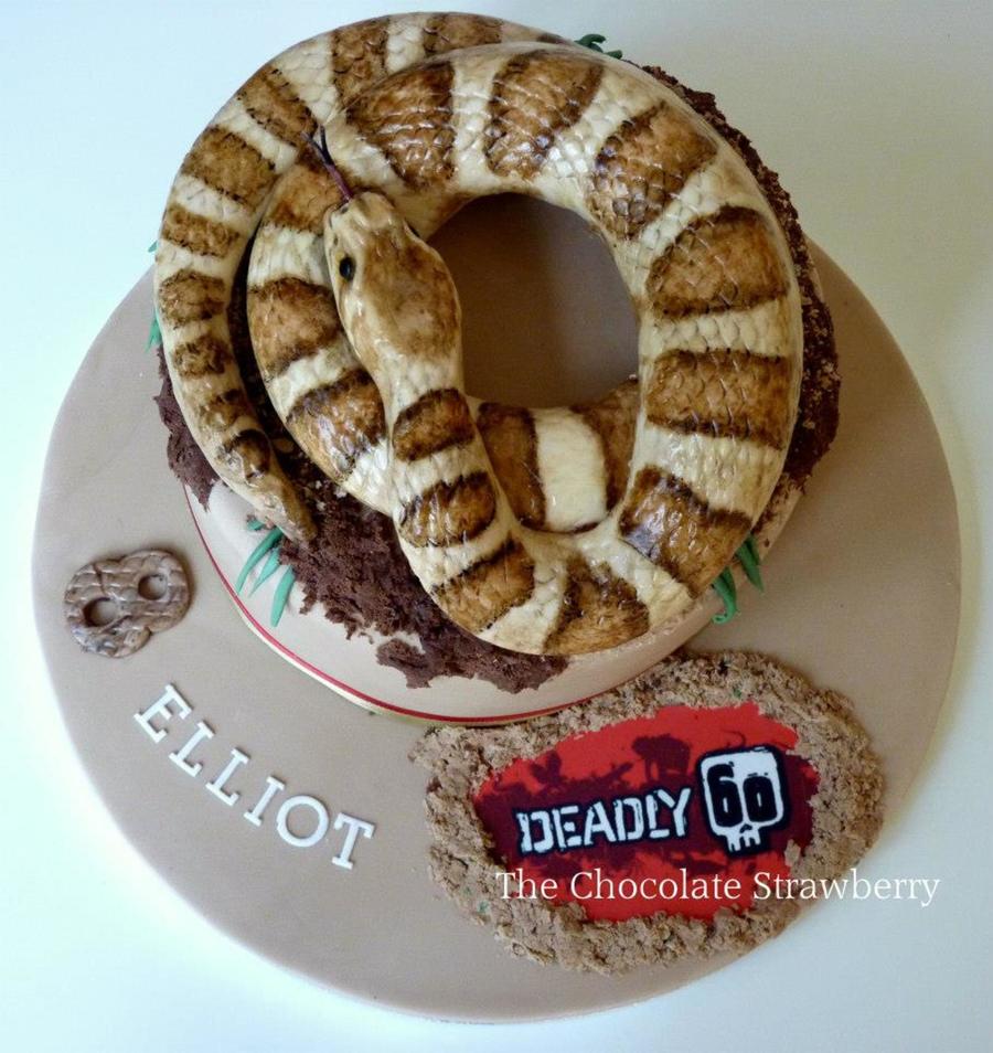 Snake Cake