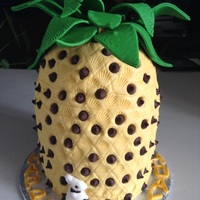 Pineapple 3D Cake Baked this for my sons 28th, birthday