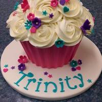 Giant Cupcake Cake I saw this on pinterest and loved it. Made this for my niece's 1st birthday