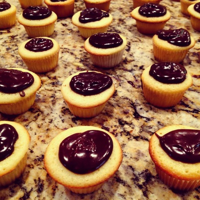 Boston Cream Cupcakes!
