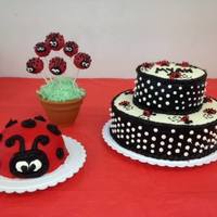 Ladybug Birthday Cake Ladybug Birthday Cake with smash cake and cake pops