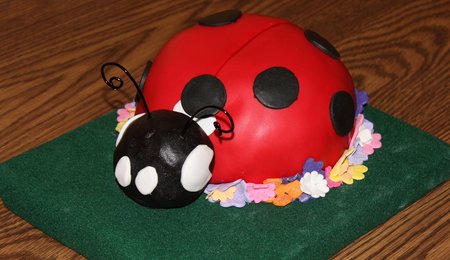 Ladybug Cake! - CakeCentral.com