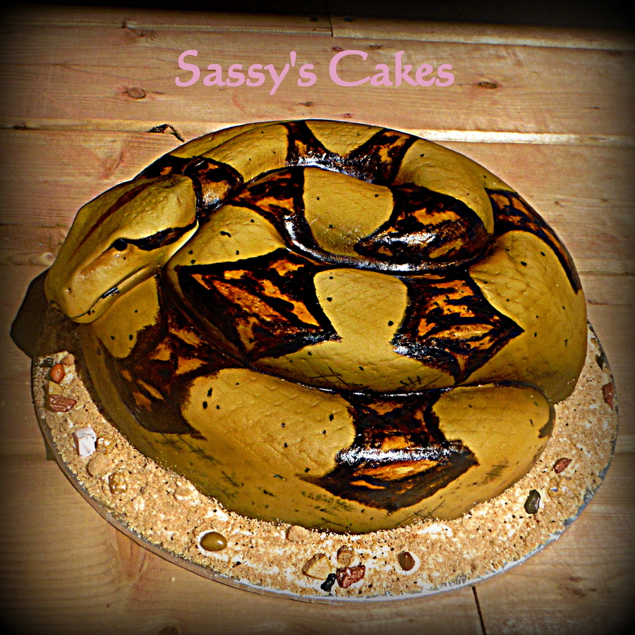 Snake Cake With Tutorial