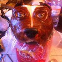 Pit Bull Head Out Of Fondant!!! WAS WORKING ON A PIT BULL I HOWEVER WORKED ON IT FOR EVER AND DIDNT GET TO TAKE A PICTURE OF THE FINISHED PRODUCT! BUT HERES THE HEAD