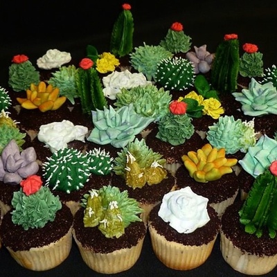 Succulent Cupcakes