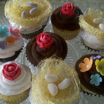 Spring Time Cupcakes