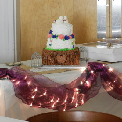Love Bird Wedding Cake