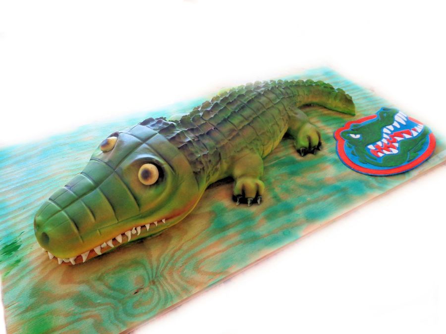 Uf alligator 9th birthday cake cakecentral