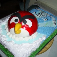 Angry Bird Full Cake Picture Two layers of cake - one gluten free the other a chocolate layer.