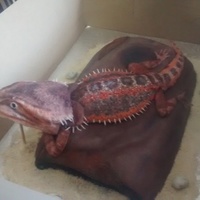 Bearded Dragon this is my first attempt at a bearded dragon. my customer was very happy!