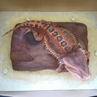 Bearded Dragon my first attempt at a bearded dragon.