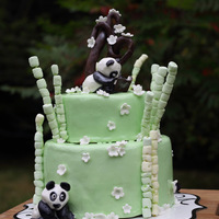 Pandas I made this cake for my son's 11th birthday. It is chocolate and vanilla, and marbled, covered with chocolate ganache and marshmallow...