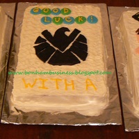 Vienna Eagles Superhero Cakes For Grades 3-6 Three half sheet cakes frosted with buttercream frosting and decorated with rolled buttercream fondant decorations. I piped the letters...