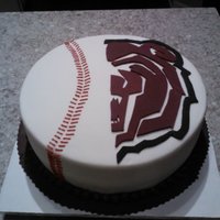 Baseball Msu College Cake 1/2 Baseball, 1/2 college logo fondant cake.