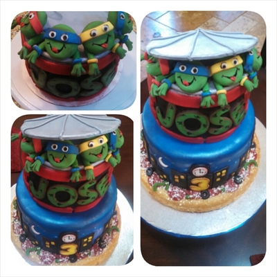 Ninja Turtle Cake