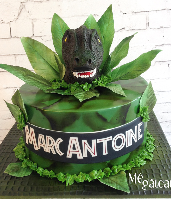 Dinosaur Cake Decorating Photos