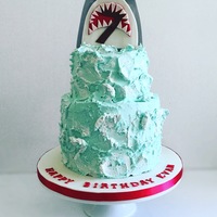Buttercream Shark Cake Shark cake for a 7 yr old's birthday. The cake is buttercream and after it firmed up in the fridge I went back and painted the white...