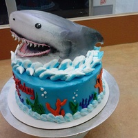 Shark! This is a white cake with buttercream icing. The shark is a white cake as well. It is iced in buttercream. All the decorations are...
