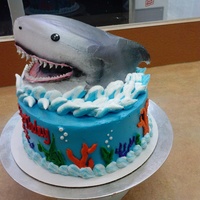 Shark! This is a white cake with buttercream icing. The shark is a white cake as well. It is iced in buttercream. All the decorations are...