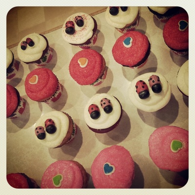Valentines Day Love Ladybug Cupcakes