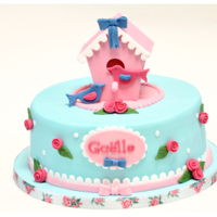 Birdcage a sweet girl who loves birds