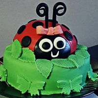 Mini Ladybug Cake This was a quick mini practice cake for my daughters birthday. It was quick to bake, frost and cover. the bottom is a 6" round and the...