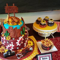 Dr. Quinn Medicine Woman Cake This cake was inspired by the show, Dr. Quinn Medicine Woman. It features a fondant items such as a snake, wood planks, cactus, doctor bag...