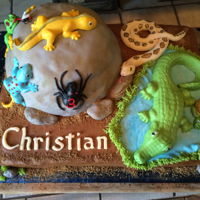 Reptiles And Creatures Little boy loves creatures