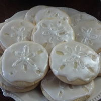 Sand Dollar Sugar Cookies Sand Dollar sugar cookies with luster dust