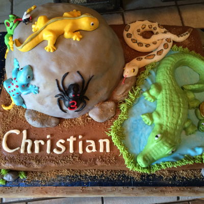 Reptiles And Creatures