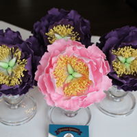 Sugar Peonies Sugar Peonie