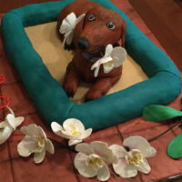 Birthday Dachshund With Orchids This cake is for a friend's father who is obsessed about his dog Gigi and has orchids as a hobby. Tile is fondant on a foam core board...