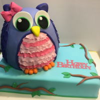 Owl Birthday A pink velvet owl on a white chocolate 9x13 sheet cake. Both filled and iced in vanilla buttercream and covered in fondant. I was going to...
