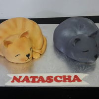 Kitty Kitty Kitty cat cake