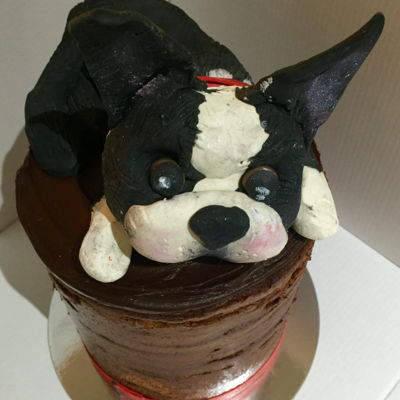 Naked Chocolate With Chocolate Pug