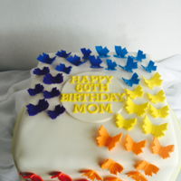 Rainbow Butterflies Rainbow Butterflies